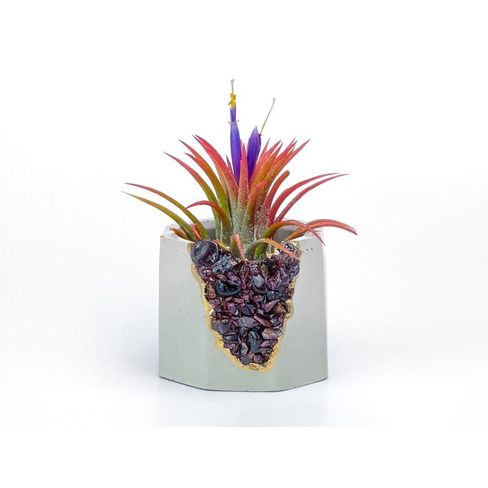 Garnet Crystal Concrete Planter | Geode Air Plant Holder
